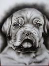 cucciolo by  C B Design