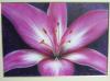 FIORE SU TELA by  C B Design