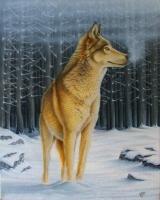 Forest Wolf by Dallas Nyberg
