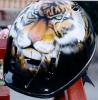 TIGRE di Savio Eagle1