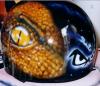 SNAKE di Savio Eagle1