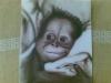 birba by  Enry