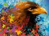 Eagle by Enrico Manini