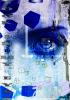 look in to my eyes by  Gas Design