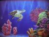 aquarium by Len Cochra Starving St