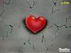 Heart by Juca Jr