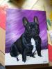 dog by  Kr?&ordm;mel Art
