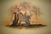 Wallpainting Gepard by  Laurus