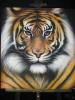 prima tigre by Simone Catucci