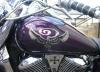 Indian Larry logo by Norman Naramore