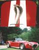 Custom built COBRA replica by Norman Naramore