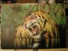 Tigre by  Vikingo46