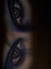 Eyes by Ren?&copy; Crown