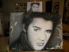  Scasellato1 ELVIS