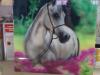 cavallo by  Shinoa