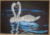 Swans by Silvia Amonti