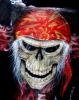 ancient skull di  Stripes