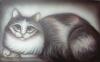 cat 2 by Can Yucel