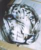 casco bici von Fede Alby Design