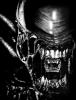 alien by Arno Schaetzle