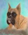 my dog by Roby Kite