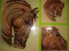caballo by Casa De Pintura Carlos Guerra
