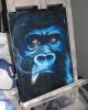 gorilla von  Cco