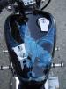 dragone blu di  Cescairbrus