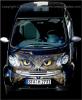 Art on cars by Christine Dumbsky