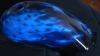 blue fire tank - cg honda di Caio Felip Barba