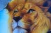 leone by  D M Aerogra