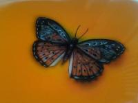 bauletto KTM by Elena ∞