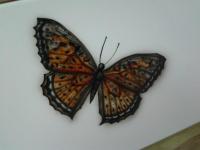 potellone auto by Elena ∞