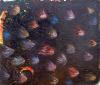 Fishes by Monica Palermo