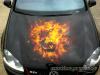 True Fire