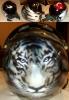 tiger helmet by Evrim Duyar