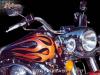 HARLEY CON FIAMME by Massimo Fogliazza