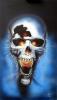 skull by  Frans