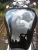 Gollum , on Triumph Thunderbird tank by Giorgio Uccellini