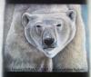 Ours blanc by  Hato