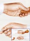 my directors hand by Edwin Canales