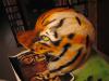 casco tigre by  Kamalele