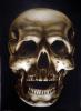 SKULL by  Kiranera