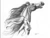 Caballo by Leandro Bujones