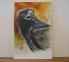 Aguila by Leandro Bujones