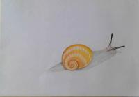 camper by Massimo Venturi