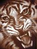 Tiger by Mr Aerografie