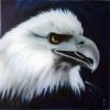 eagle di Mark Welton
