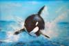 Orca di Mark Welton
