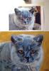 Charlea commission work di Mark Welton